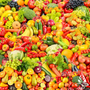 THE LAW OF PERMANENT CURE AND NUTRITION