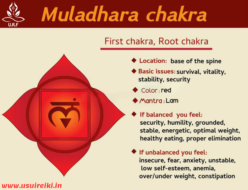 ROOT-CHAKRA-INFOGRAPHICS-URF