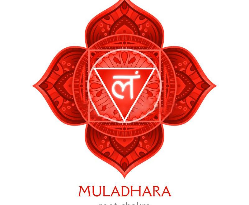 Everything about Root Chakra: Reiki Healing on Root Chakra (Muladhara)